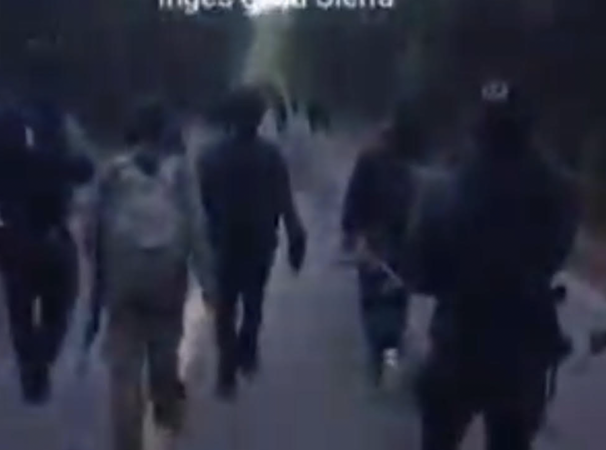 Suspensión de Maletines